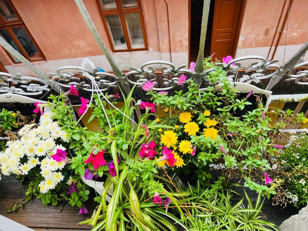 Apartment In The City Center Mini Ivano-Frankivszk Kültér fotó